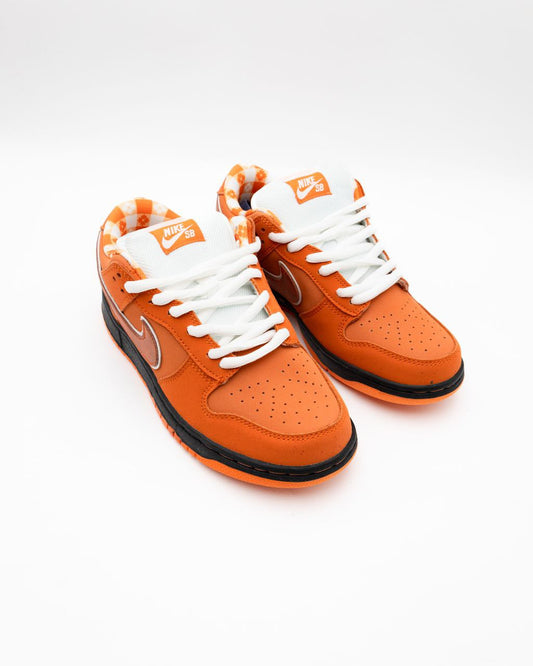 Nike Style Shoes – Lightweight, Sporty, Comfortable
